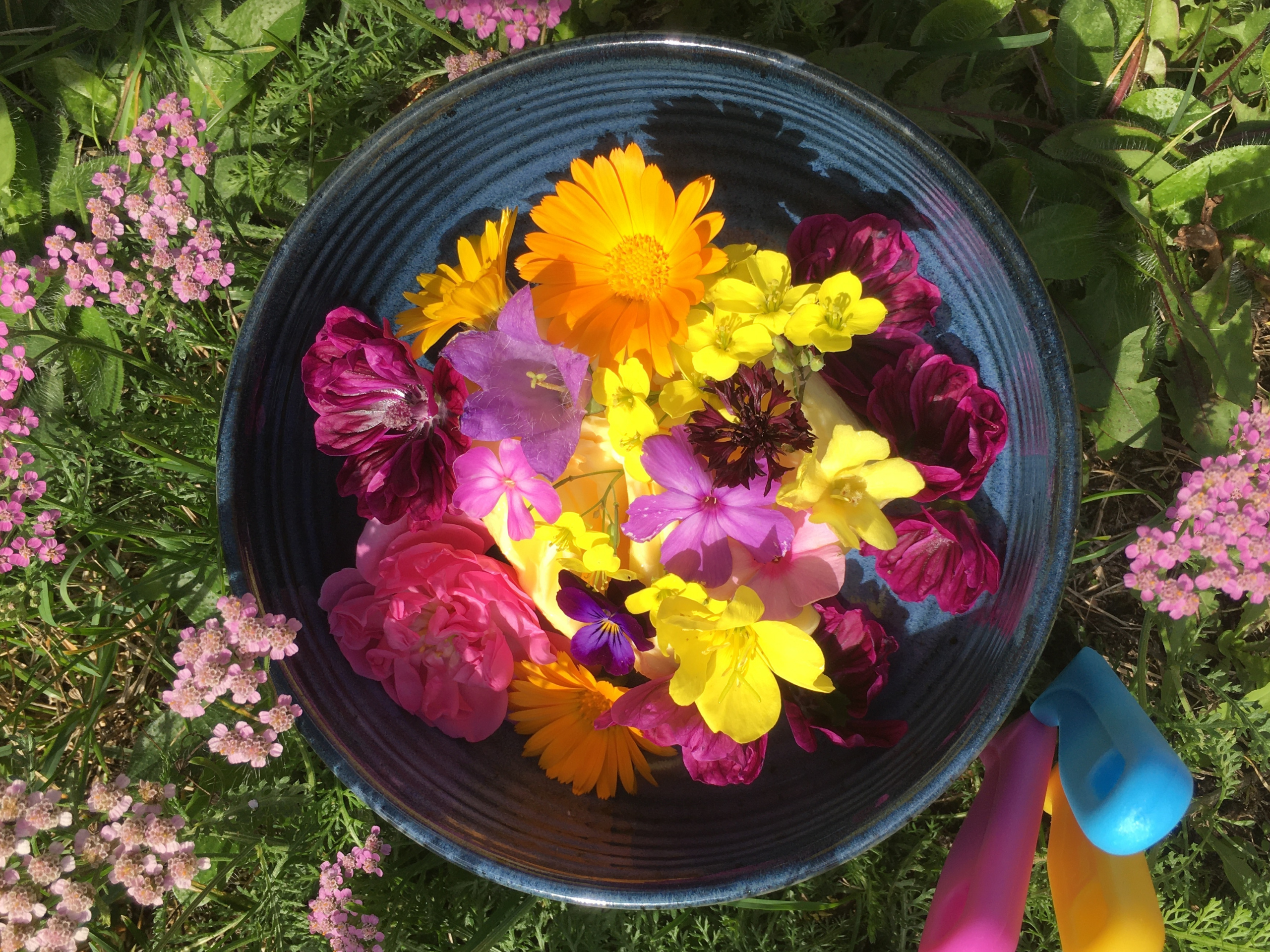 9b5980ba de94 4970 80cc 9e891267882b